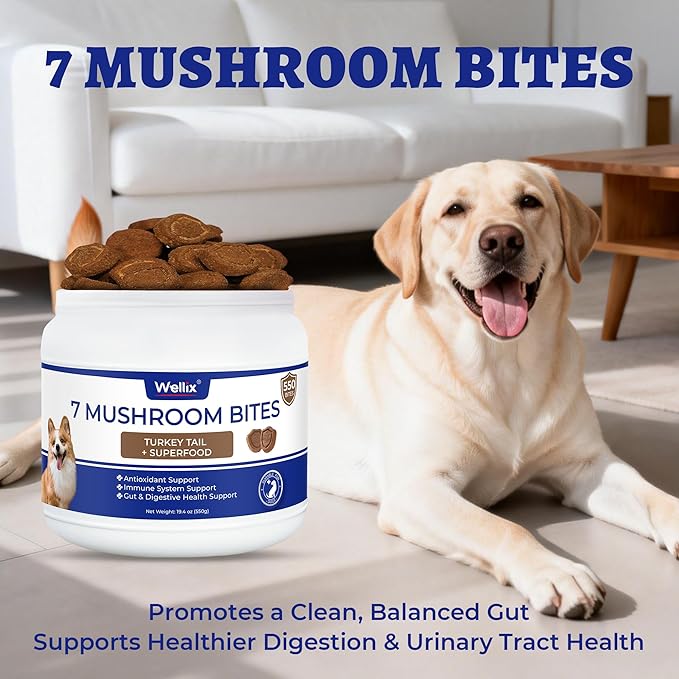 550 Bites Turkey Tail Mushroom for Dogs - Immune, Gut, Skin, Joint Health Mushroom Supplement for Dogs - Turkey Tail for Dog Chews with All Breeds & Sizes - Chicken Flavor Dog Supplements