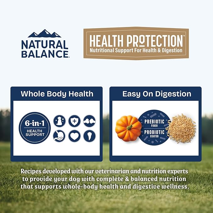 Natural Balance Health Protection Dry Dog Food – Whole Body Health, Easy on Digestion Dog Food Made with Salmon, Brown Rice & Pumpkin for Dogs - 22lbs.