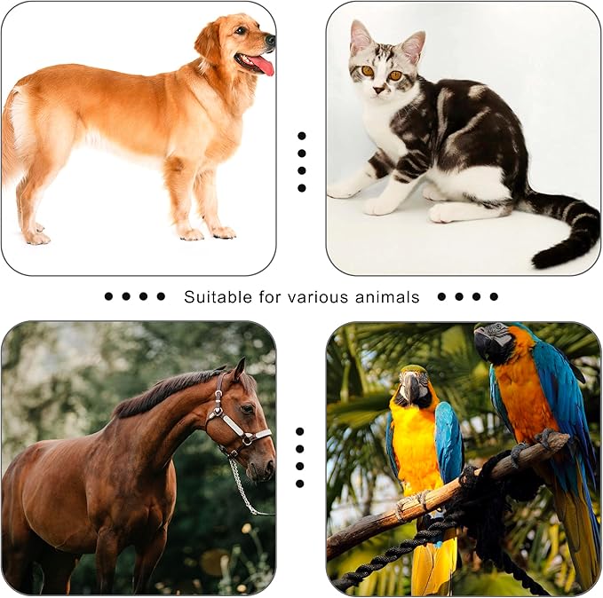 Pet Clicker for Dogs/Cats/Horses/Birds or Other Animals - Clickers for Training (Red)