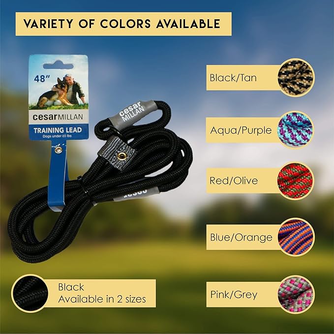 Cesar Millan Slip Lead Leash | Dog Leash | in Training Leash | (Regular, Black)