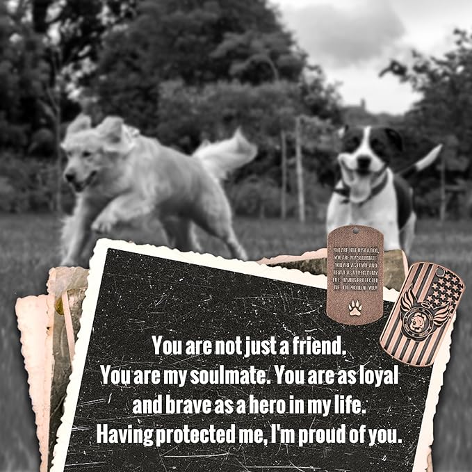 OneTigris Pet Memorial Gifts for Dogs - 32" Wind Chimes with Metal Picture Frame, Pet Loss Sympathy Gift, Dogs Remembrance Gift for Loss of Dog, in Memory of Dog
