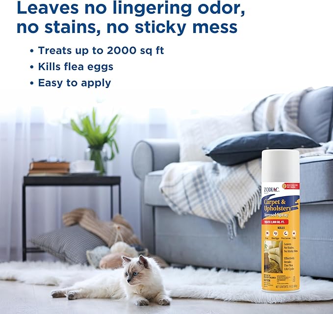 Zodiac Carpet & Upholstery Aerosol Spray, 16-ounce