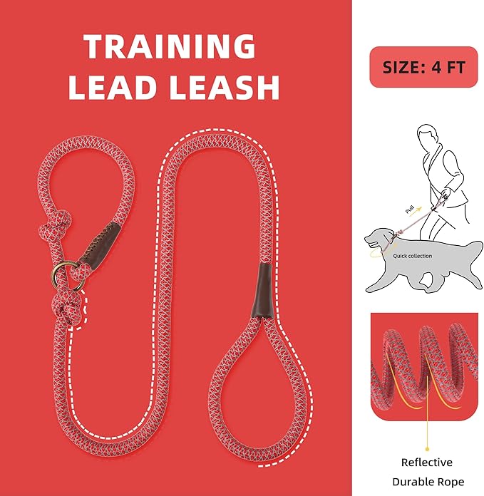 Mile High Life Slip Leads for Dogs | Reflective Slip Leash with Leather Tip | Heavy Duty Dog Training Leash - 4 Feet Climbing Rope (Red)
