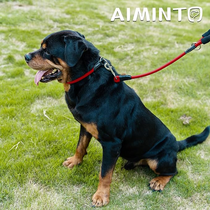 Dog Leash, Braided Rope Traction – Walking Training Lead for Small Dogs ((1/3") x 6FT, Red)