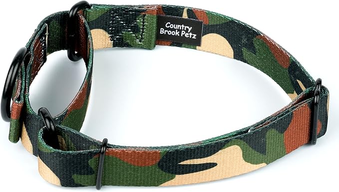 Country Brook Petz - Woodland Camo HD Martingale Dog Collar - Camouflage Collection Featuring Rugged Designs (1 Inch, Large)
