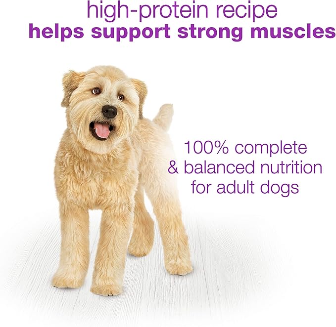 Beneful Purina Wet Dog Food, Chopped Blends with Turkey - (8) 10 oz. Tubs (Pack of 2)