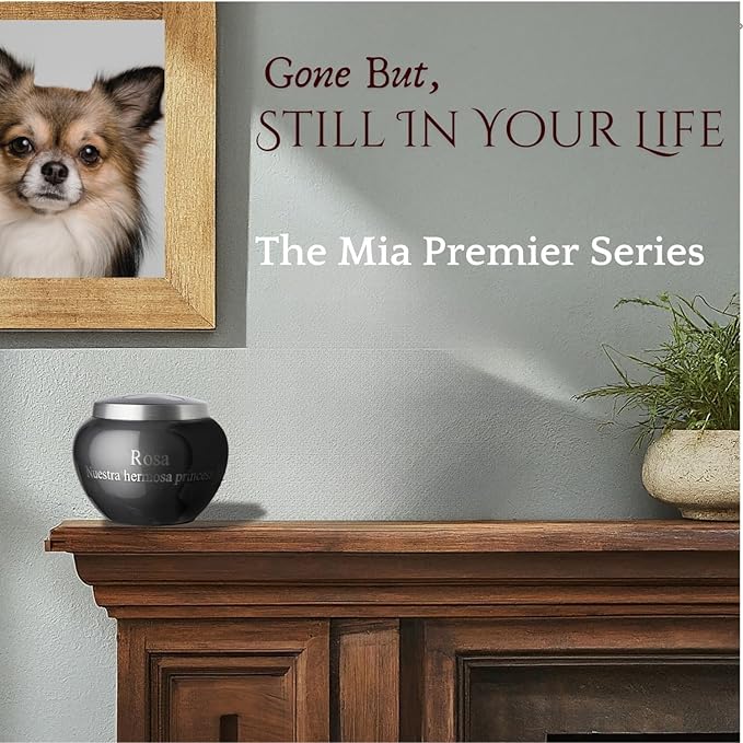 Mia Paws Premier Series Pet Urn for Dogs with Personalized Laser Engraving (Medium - Pets up to 35 lbs, Slate, Single Pewter Paw)