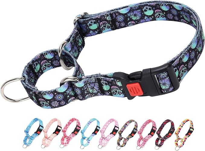 Martingale Dog Collar,Adjustable Nylon Heavy Duty Dog Collar for Small Medium Large Dog,Walking Training Boy and Girl Dogs