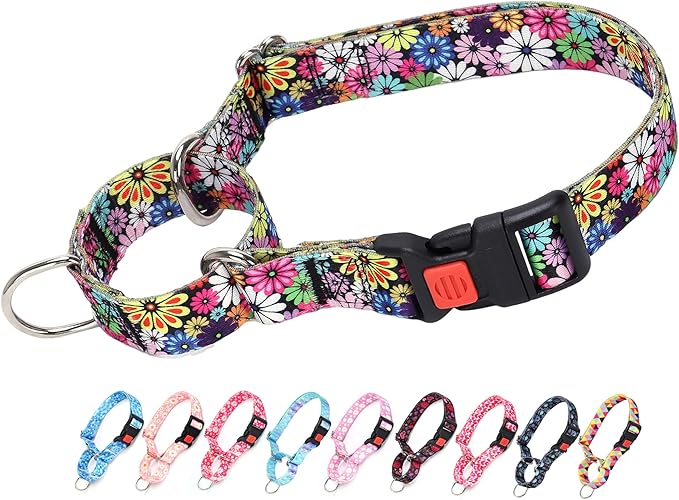 Martingale Collar for Dogs, Colorful Daisies Martingale Collar for Girl Female Dogs Large Medium and Small, with Quick-Release Buckle Perfect for Training, Walking, Hunting (L)
