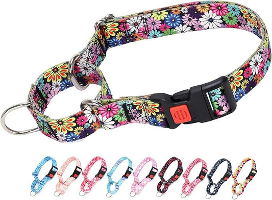 Martingale Collar for Dogs, Colorful Daisies Martingale Collar for Girl Female Dogs Large Medium and Small, with Quick-Release Buckle Perfect for Training, Walking, Hunting (L)