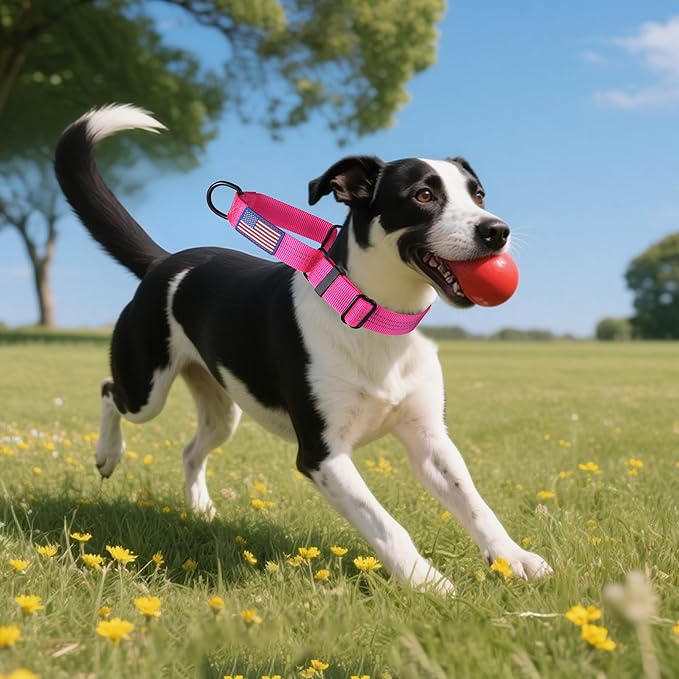 Martingale Dog Collar Quick Release Buckle No Pull Reflective Non-Slip for Medium Large Dogs Training (Pink, Large)