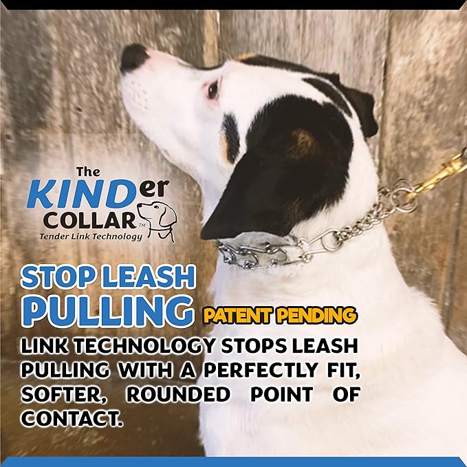 Best Dog Training Collar Adjustable Small to Medium Dog Breed (2.2 mm) Width Stainless Steel Best Alternative to Dog Collar (2.2 MM * Neck Size Up to 15")