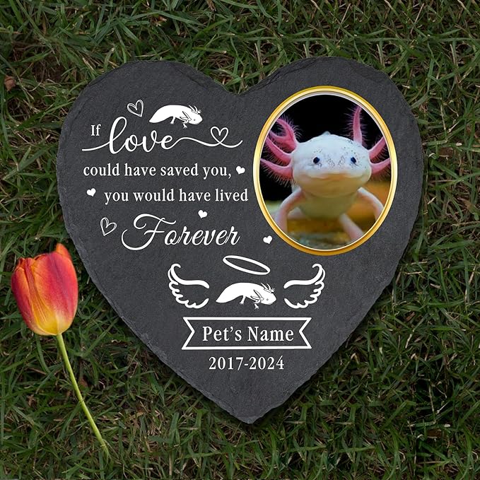 Customized Pet Axolotl Memorial Stone with Photo Name Dates, Personalized Outdoor Pet Headstone for Loss of Axolotl, Axolotl Bereavement Gifts Heart Shaped Pet Memorial Stone
