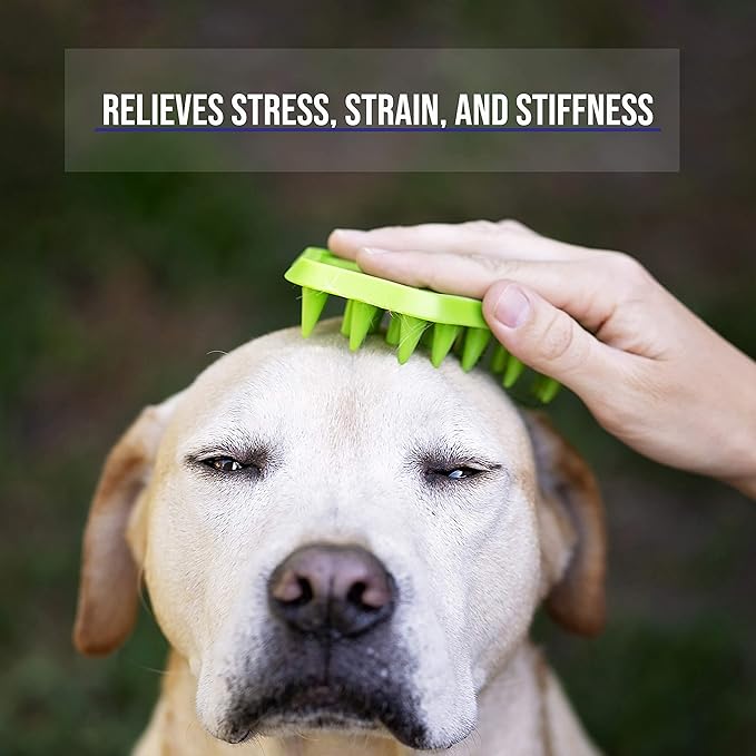 Pet Deshedding Brush for Short Long Hair Dogs and Cats - Massaging Comb for Grooming and Knot Release