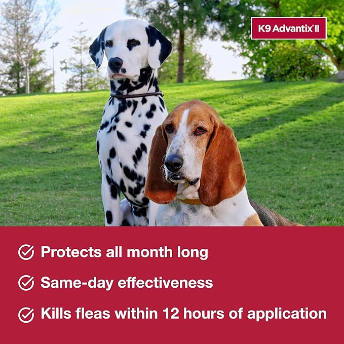K9 Advantix II Small Dog Vet-Recommended Flea, Tick & Mosquito Treatment & Prevention | Dogs 4-10 lbs. | 3-Mo Supply