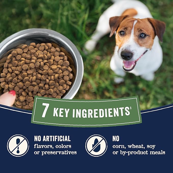 Canidae Pure Farm to Bowl Small Breed, Pasture-Raised Lamb & Lentil Recipe, 4 lbs.