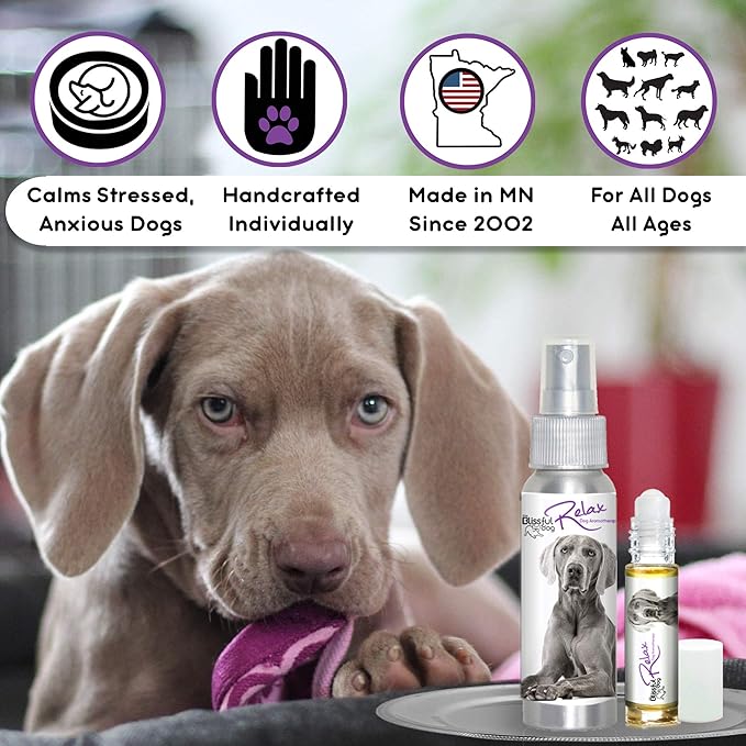 The Blissful Dog Weimaraner Relax Dog Aromatherapy Spray for Your Dog's Anxiety