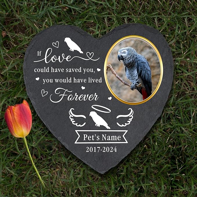 Personalized Pet Memorial Gifts for Loss of Parrot, Personalized Grey Parrot Memorial Stone with Photo, Custom Pet Parrot Loss Gifts, Pet Memorial Stone for Parrot, Bird Memorial Gifts