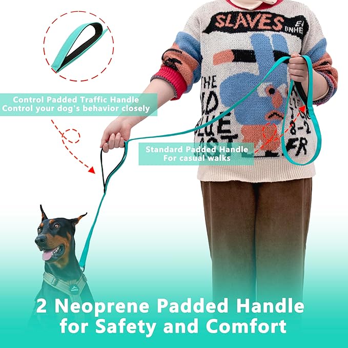 Dog Leash 6ft Long, Double Handle Dog Leash for Safety Control Training, Heavy Duty Dog Leads with Traffic Padded Handles, Reflective Leashes for Small Medium Large Dogs(6ft, Turquoise)