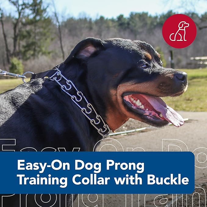 Coastal Pet Titan Easy-On Dog Prong with Buckle - Training Collar for Dogs - Durable Metal Dog Collar - Training Collar with Side Release Buckle - Black, 4 mm x 22"