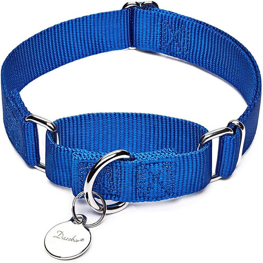Martingale Dog Collar, Escape-Proof and No Slip Design, Heavy-Duty Nylon with Metal Buckle, Adjustable for Small, Medium & Large Dogs, Colorfast for Training, Daily Walks (Royal Blue, M)