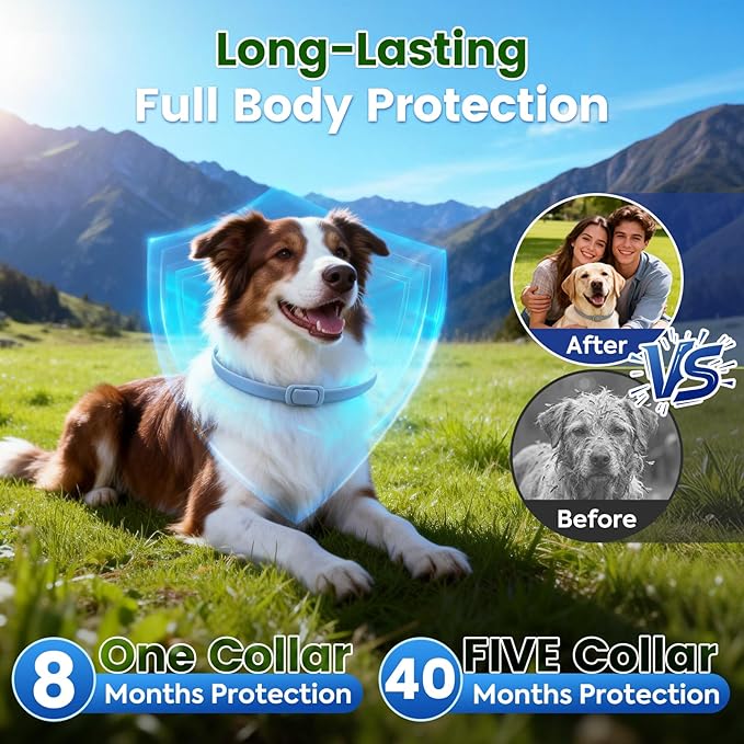 Flea and Tick Collar for Dogs, 5 Packs Flea Collar for Dogs with Natural Essential Oils, Waterproof & Adjustable Flea and Tick Prevention Collar for Small Medium Large Dogs & Puppies, Grey