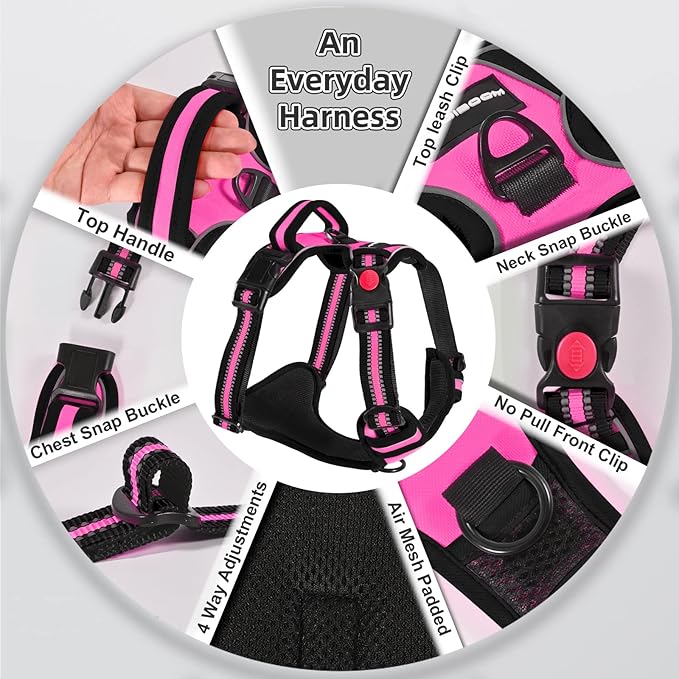 No Pull Dog Harness with A Free Heavy Duty 5ft Dog Leash, Adjustable Soft Padded Dog Vest, Reflective No-Choke Pet Oxford Vest with Easy Control Handle and Dog Leash for Dogs(Pink, Small)