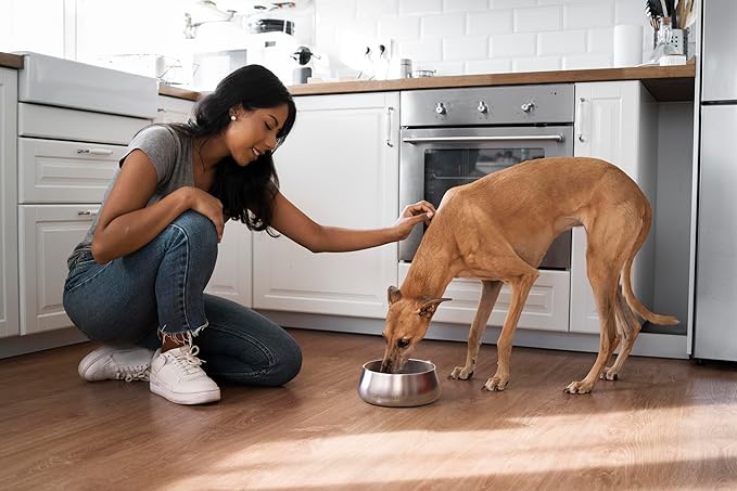 Sipworks Stainless Steel Dog Bowl – 32oz Weighted Metal Food and Water Bowls for Dogs and Cats with Non-Slip Base - Pet Bowls for All Breeds Sizes for Travel & Outdoor Play | White