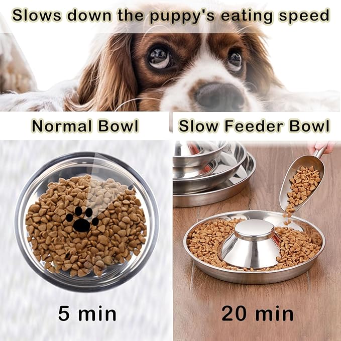 2 Pack Stainless Steel Puppy Bowls - 10 Inch Puppy Feeders Slow Pet Dog Feeding Bowls for Multiple Puppies - Food and Water Bowl for Small Dogs, Cat