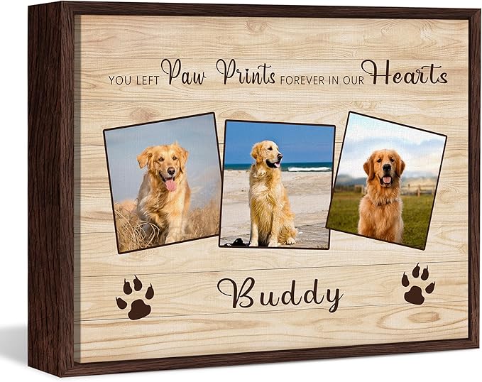 Custom Pet Memorial Gifts for Loss of Dog, Leave Paw Prints on Our Hearts, Dog Loss Sympathy Gift for Dog Cat Lovers Owners, Personalized Paw Prints Canvas with Photo and Name