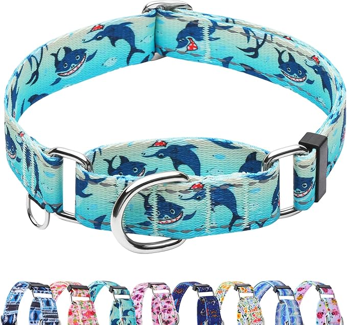 Reflective Martingale Collar for Dogs Nylon Training Collar with No Buckle, No Pull Boy Male Dog Collar for Large Dogs（Green Shark，L）