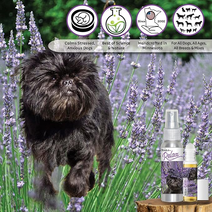 The Blissful Dog Affenpinscher Relax Roll-ON Aromatherapy for Dogs - Anxiety Relief for Dogs