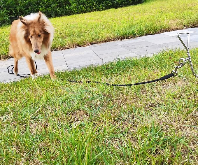Tie Out Rope Dog Leash, Long Tether 8-10-13-15-20-25-30-35-40-50-65 FT Heavy Duty Nylon Check Cord for Medium Large Dogs Indoor/Outdoor Camping Backyard (Black, 3/8" x 15ft)