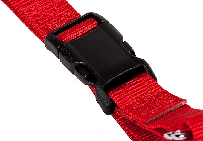 GOGO Pet Products 3/4-Inch Martingale Dog Collar, Medium, Red