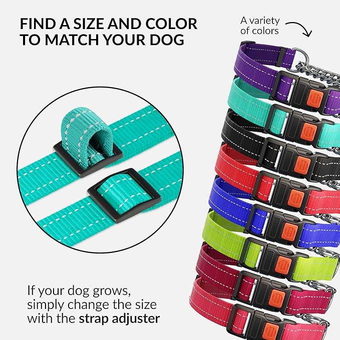 CollarDirect Martingale Dog Collar with Stainless Steel Chain and Quick Release Buckle - Reflective Collar for Large, Medium, Small Dogs - Mint Green, Medium (Neck Size 14"-17")