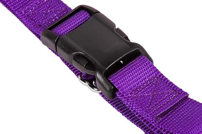 GOGO Pet Products 1-Inch Martingale Dog Collar, Large, Purple