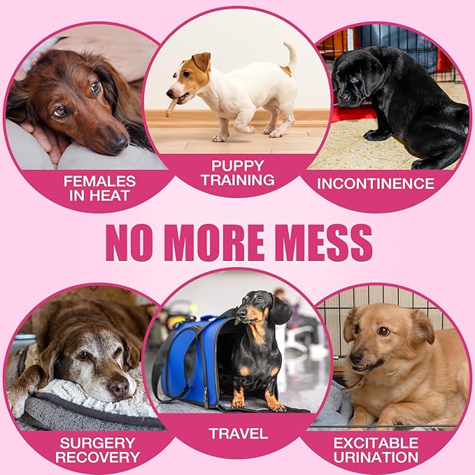 Dono Disposable Dog Diapers Female, Super Absorbent Doggie Diaper, Rapid-Dry Gel Technology Puppy Diapers, Leak-Proof Fit for Cat Doggy in Heat, Excitable Urination, Incontinence, Training, X-Small