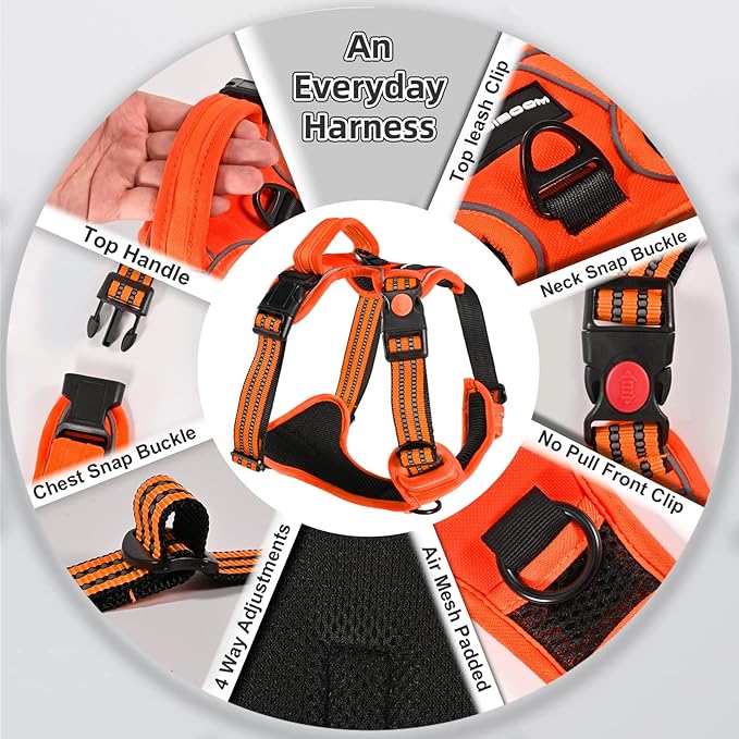 No Pull Dog Harness with A Free Heavy Duty 5ft Dog Leash, Adjustable Soft Padded Dog Vest, Reflective No-Choke Pet Oxford Vest with Easy Control Handle for Small and Large Dogs(Orange, Small)