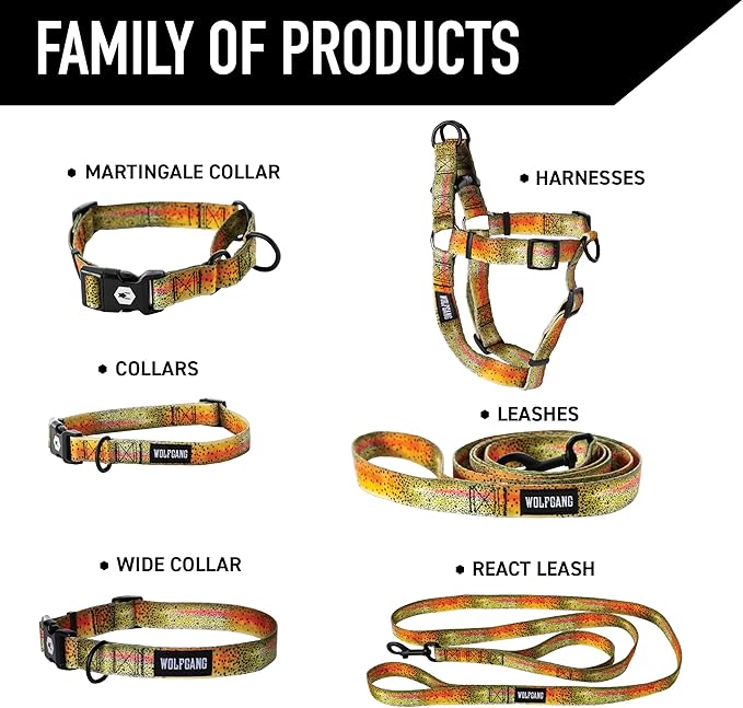 Wolfgang Heavy Duty Martingale Dog Collar with Quick Release Nylon Buckle for Walking & Training, CutBow Print, Large