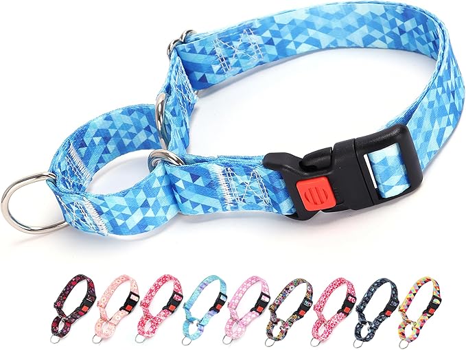 Martingale Collar for Dogs, Blue Dog Collar for Small Medium Large Dogs, Adjustable Safety Buckle Dog Collar, Perfect Boy and Girl Collar for Training, Walking, Hunting (S)