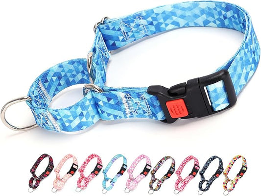 Martingale Collar for Dogs, Blue Dog Collar for Small Medium Large Dogs, Adjustable Safety Buckle Dog Collar, Perfect Boy and Girl Collar for Training, Walking, Hunting (S)