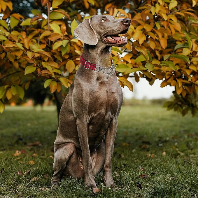 Martingale Dog Collar with Reflective Padded Strap, Anti-Choke & No-Pull Design Dog Collars with Heavy-Duty Chain, Perfect for Medium Large Extra Large and XXL Dogs (Red M)