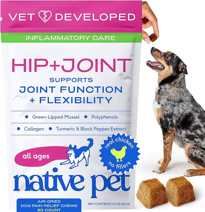 Native Pet Inflammatory Care - Pain Relief for Dogs - Green-Lipped Mussel, Turmeric & Collagen for Dogs - Hip and Joint Supplement Supports Healthy Inflammatory Response & Joint Comfort - 30 Chews