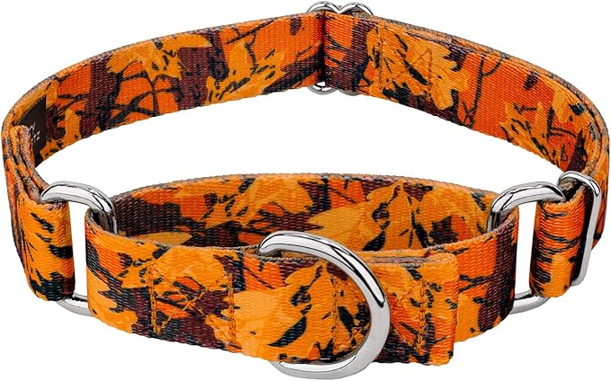 Country Brook Petz - Orange Sunset Camo Martingale Dog Collar - Camouflage Collection Featuring Rugged Designs (1 Inch, Medium)