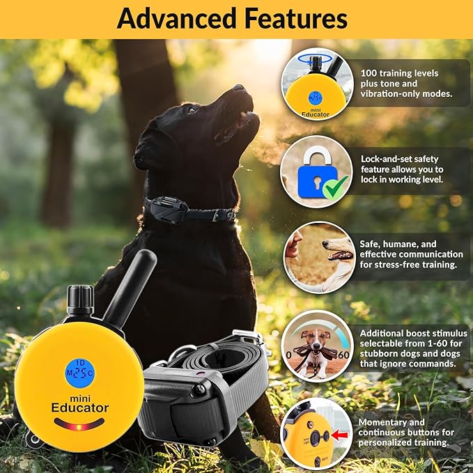 E-Collar – Mini Educator ET-302 1/2 Mile Waterproof Remote Dog Training Collar Includes Premium Finger Clicker Trainer, 100 Programmable Levels + Vibration + Light + Sound, Yellow