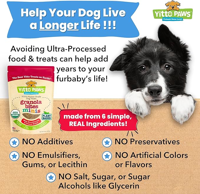 Mini Organic Dog Training Treats – Crunchy, Low Calorie Dog Biscuits – Strawberry & Peanut Butter – Vegan, Human-Grade, No Sugar Added, Made in USA for Small Dogs & Puppies, 3-Pack (24 oz)