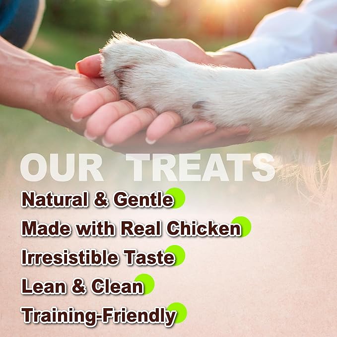 A Freschi srl Chicken Dog Treats, All Natural, Healthy & Easily Digestible, Grain-Free Puppy Chews, Low-Fat, Human Grade Training & Rewards Dog Snacks, Chicken Sliced, 24 oz Pack