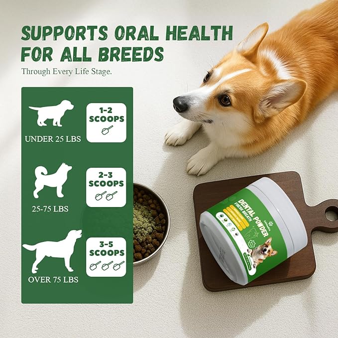 Dog Dental Powder, Dental Powder for Dogs Teeth Cleaning and Breath Fresh, Dog Teeth Cleaning Powder with Natural Plants Ingredients and Postbiotics, 400g