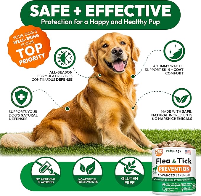 Flea and Tick Prevention for Dogs Pills - 250 Soft Chews - Natural Dog Flea & Tick Control - Oral Defense Treatment for Dogs Supplement - Vet Formulated Chews - All Breeds & Ages - Made in USA