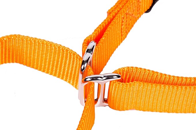 GOGO Pet Products 3/4-Inch Martingale Dog Collar, Medium, Orange